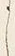 𡨸し