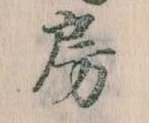 位置定マレル房