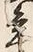 文字 年
