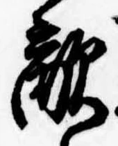 Đã định vị 敵
