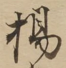 已定位楊
