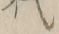 Character 代