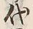Character 代