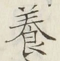 Character 養