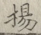 已定位楊