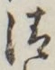 Character 清