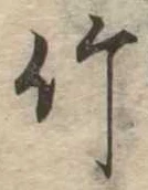 位置 確認된 竹