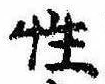 Đã định vị 性