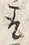 文字取