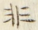 Chữ 非