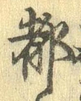 位置 確認된 都