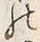 𡨸馬