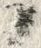 「だ」字
