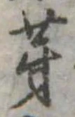 位置 確認된 芽