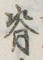 位置 確認된 脊
