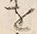 字方