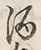 文字 酒