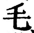 字毛