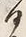字見