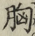 文字 胸