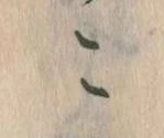 位置定マレルこ