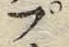 𡨸プ