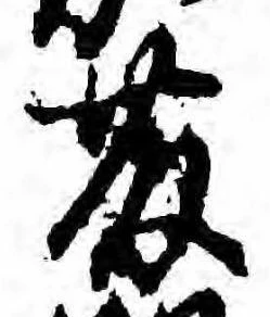 已定位藤