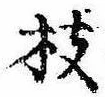枝，已得其位