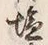 Character 塩