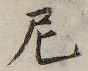 Đã định vị 尼