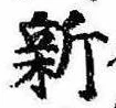 已定位新