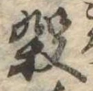 位置 確認된 殺