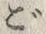 文字ご