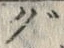 文字 ぐ
