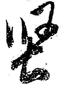 位置定マレル堅