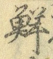 Đã định vị 鮮