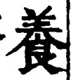 「養」字
