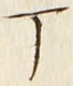文字丁