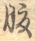 腹，已得其位