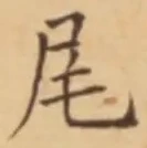 Character 尾