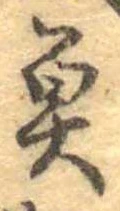 已定位魚