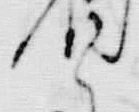 𡨸者