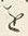 Character 探