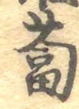 位置定マレル蔔