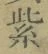 文字紫