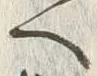 文字浜