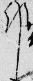 邦の位置