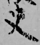 Đã định vị 史