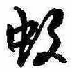 Located 蚊