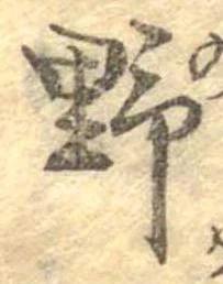 位置 確認된 野